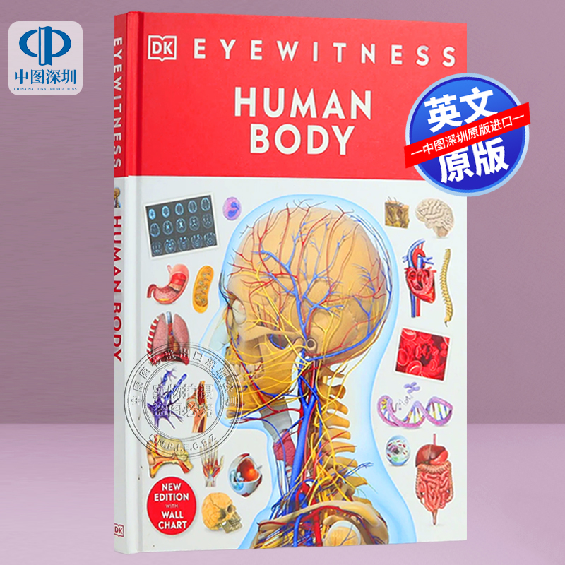 英文原版 DK目击者系列 人体 身体认知终极指南 人体器官如何工作科普儿童英语百科读物 精装插图版 Human Body (DK Eyewitness)