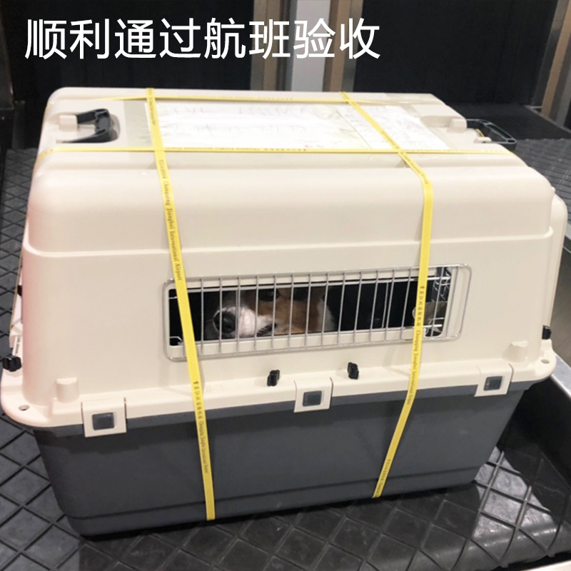 宠物航空箱猫狗大型犬旅行箱飞机托运国J际标准空运国航外出猫笼