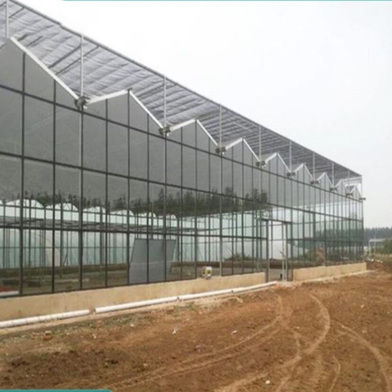 新品玻璃温室大棚内遮阴外遮阳连栋大棚养殖种L植花卉蔬菜简易插