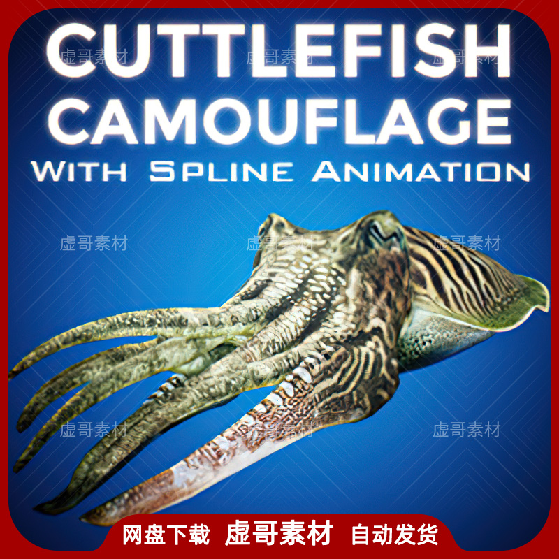 UE4模型 Cuttlefish Camouflage 变色乌贼章鱼墨鱼动画模型