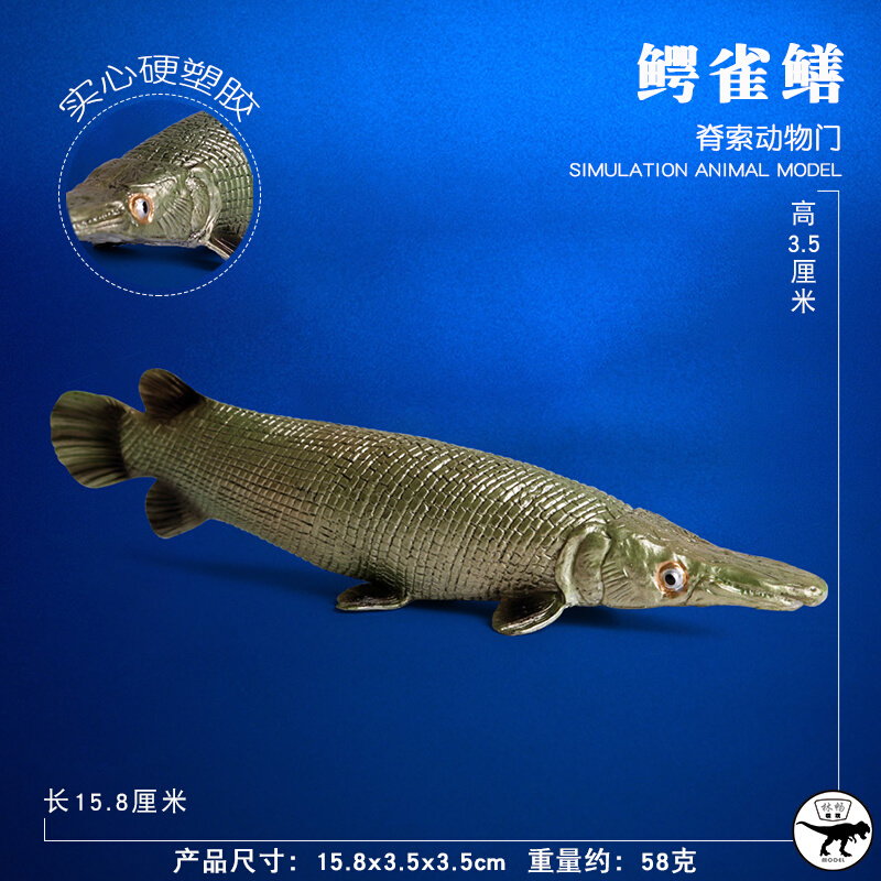 林畅模玩儿童海洋动物玩具鳄雀鳝模型仿真鱼深海史前鱼类远古生物
