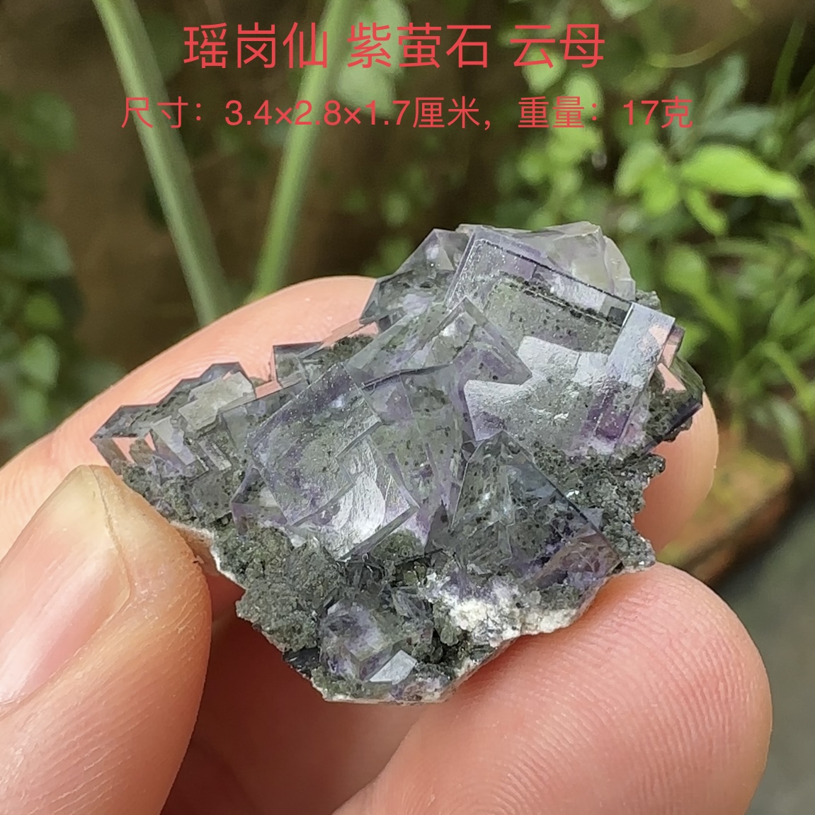 瑶岗仙紫萤石云母 天然矿物晶体标本矿石原石收藏石头摆件d17