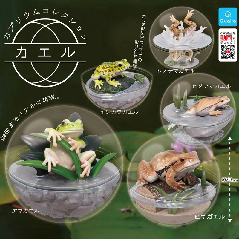 日本正版QUALIA 青蛙生物盆景扭蛋 树蛙场景透明球掌上小蟾蜍摆件