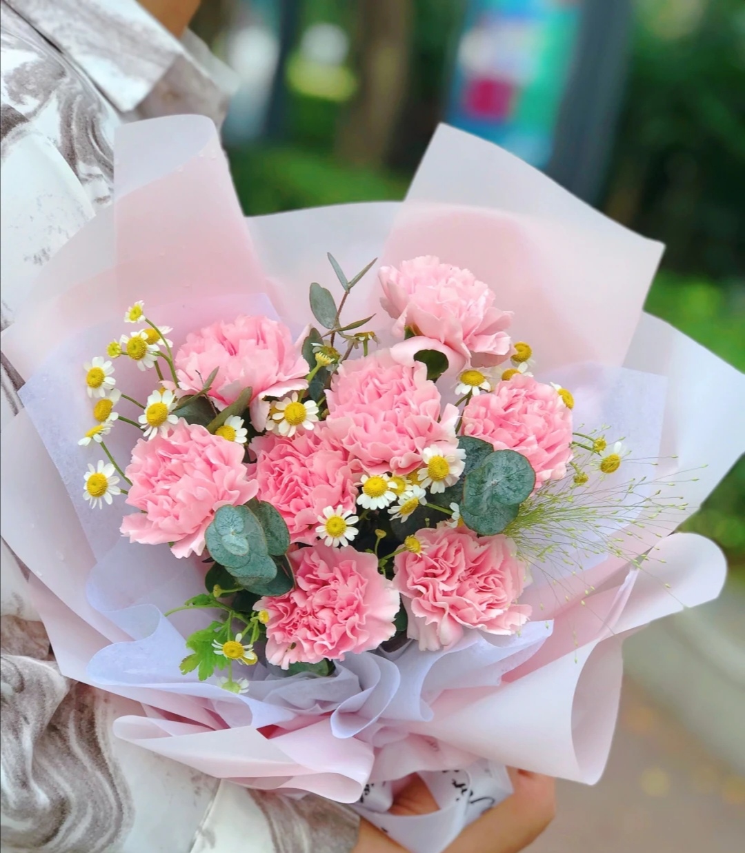 粉色康乃馨搭配什么花