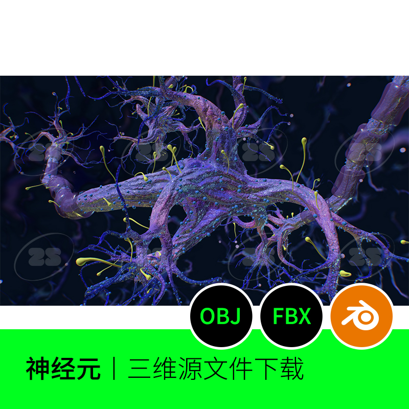神经元轴突树突细胞解剖医学神经3D模型建模素材blender生物846