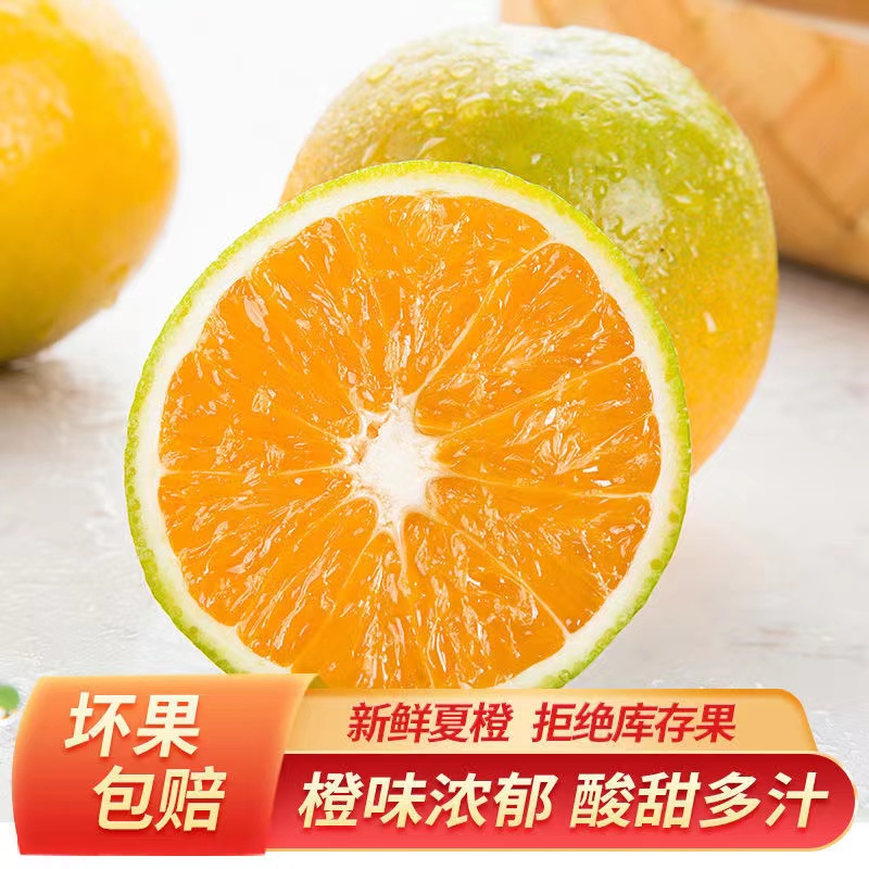 湖北新鲜橙子夏橙10斤水果当季正宗整箱冰糖橙果冻甜橙原产地直销