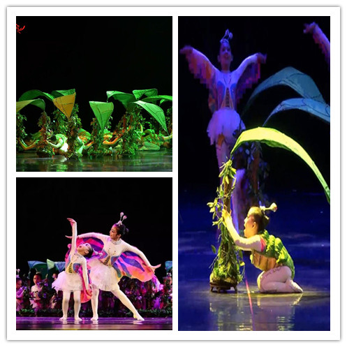 第十届小荷风采《美丽的世界》儿童舞蹈蚕蛹变蝴碟叶子道具表演服