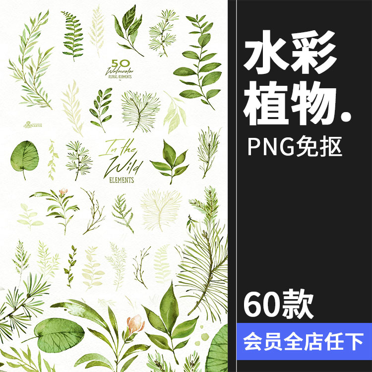 水彩手绘植物叶子小清新枝条绿色春夏海报背景PNG元素平面PS素材