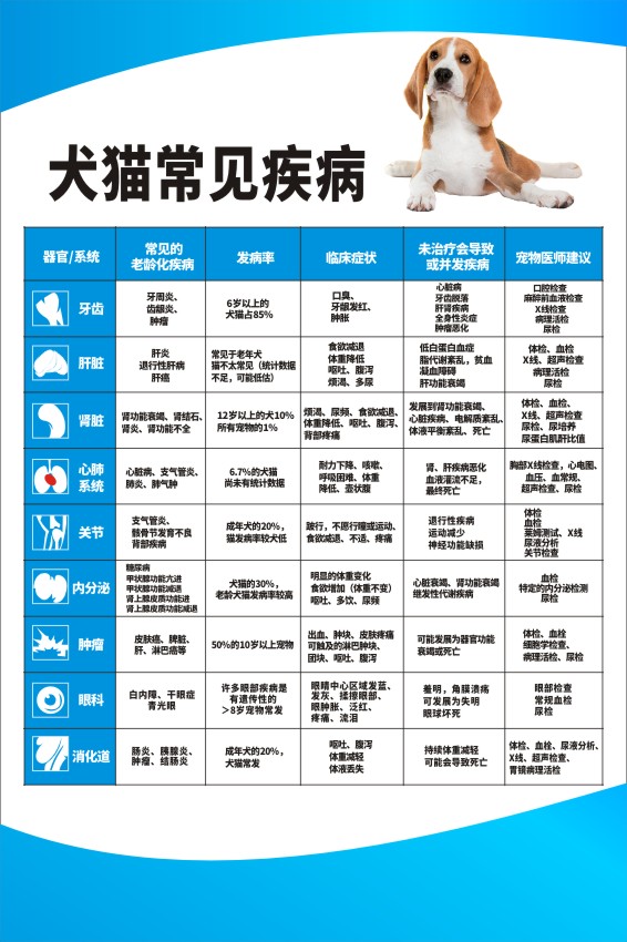 M771宠物医院动物犬猫常见疾病问题症状海报定制印制展板贴纸41