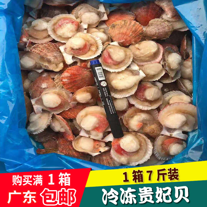 新鲜冷冻贵妃贝半壳扇贝豆捞自助商用食材海鲜水产1箱7斤