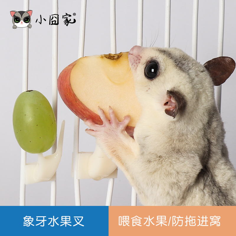 蜜袋鼯仓鼠食物用品塑料水果叉蜜袋鼬松鼠花枝笼子配件固定防拖拽