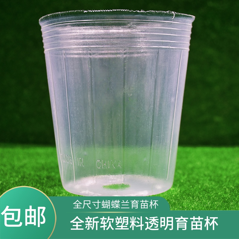 蝴蝶兰专用花盆白色透明软花盆 1.5寸2.5寸3.5寸4寸5寸加高育苗杯