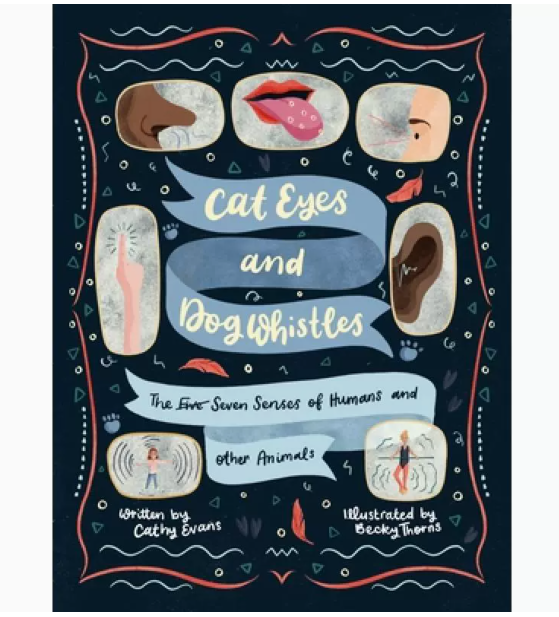 【预售】英文原版 Cat Eyes and Dog Whistles 猫眼和狗哨 Cicada Cathy Evans 人类和其他动物的五种七感插画绘本儿童书籍