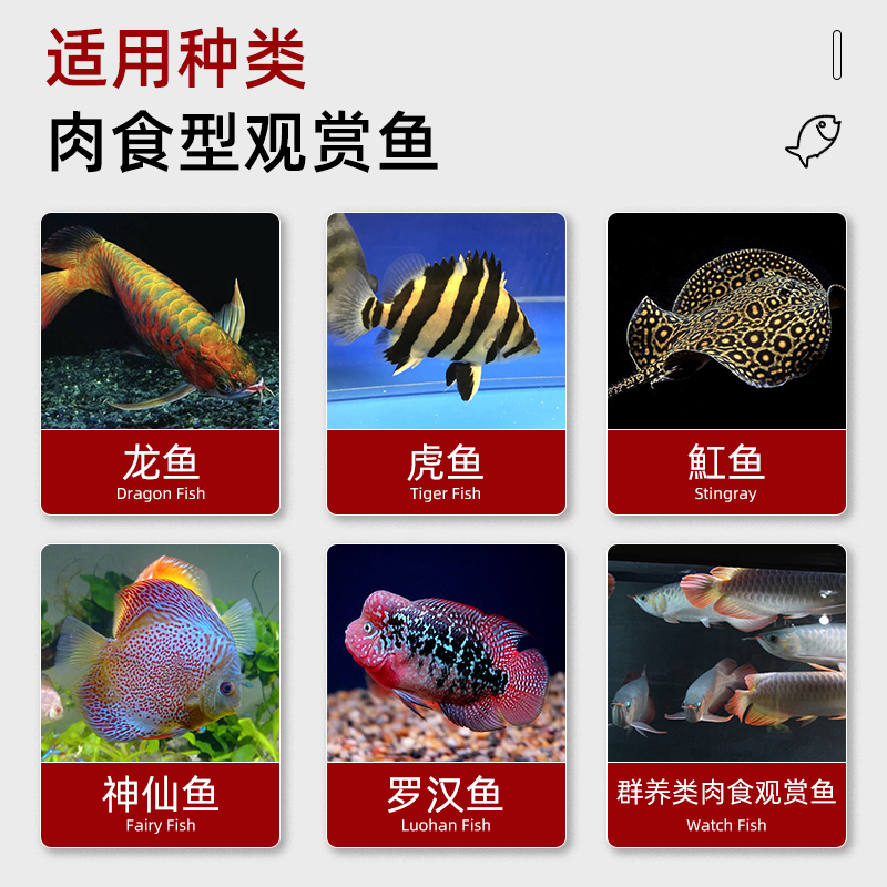 博特龙鱼饲料金龙鱼食小颗粒热带鱼增色红龙鱼专用鱼食保鲜虫蜈蚣