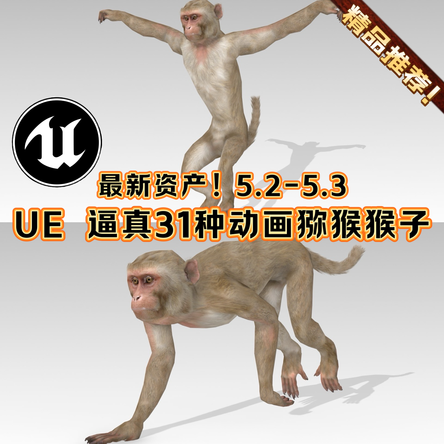 UE4UE5虚幻人物角色猴子猕猴带31种动画骨骼逼真动物游戏场景素材
