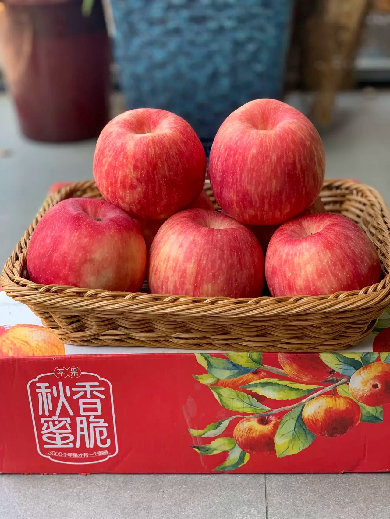 风物先生   铜川秋香蜜脆苹果净重5.5斤家庭装（大小不一）包OXLC