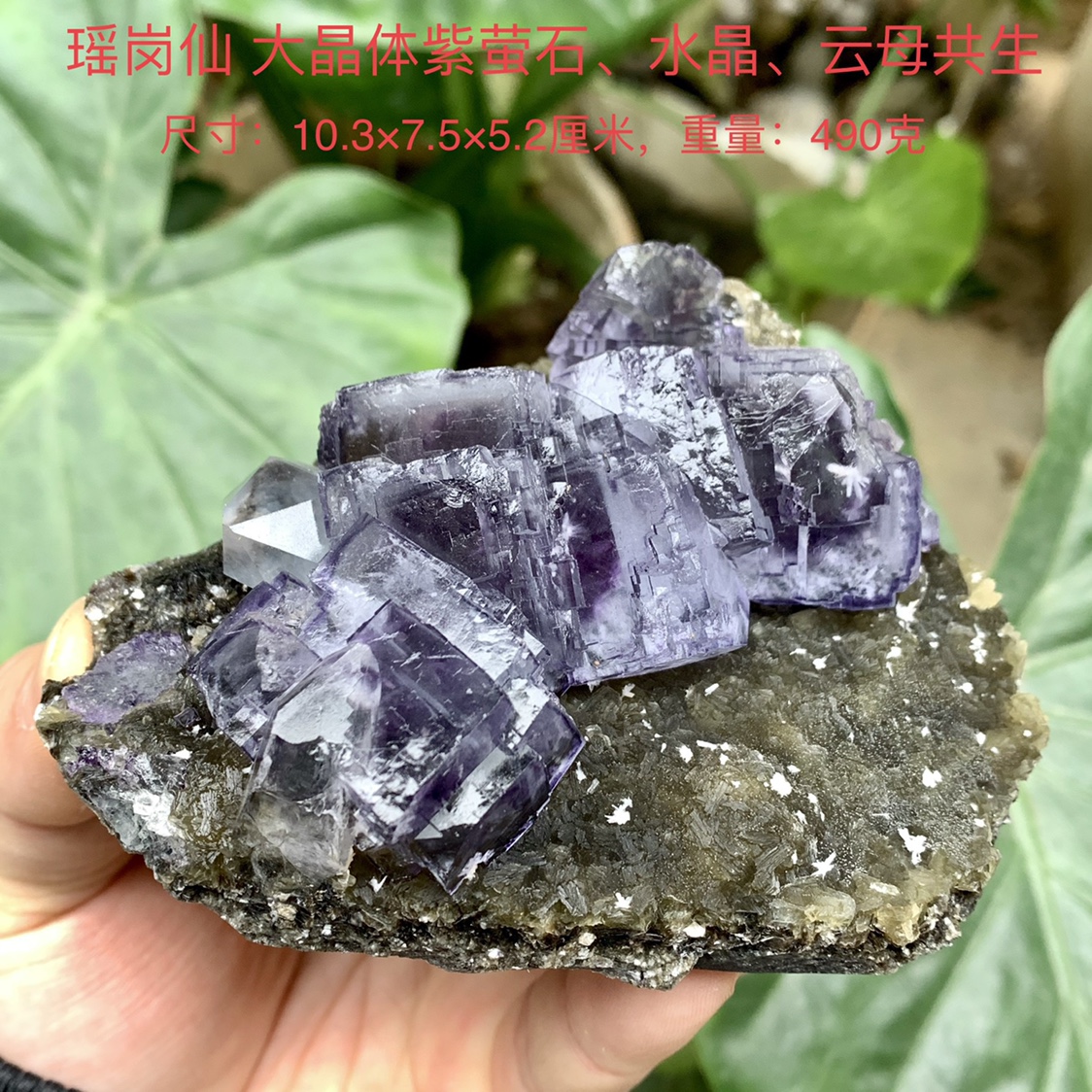 瑶岗仙紫萤石水晶云母天然矿物晶体标本矿石原石收藏石头摆件e28