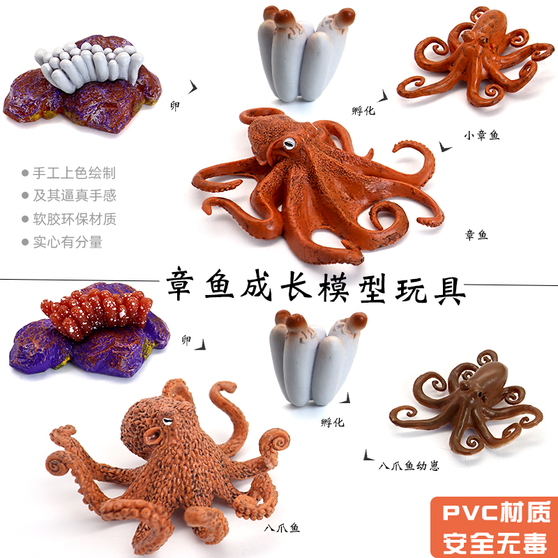 仿真科教海洋章鱼八爪鱼模型玩具成长进化青蛙蝴蝶儿童益智礼物