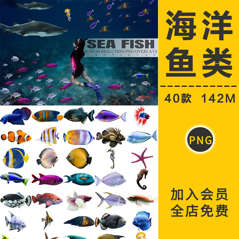 高清海底世界水底海洋生物鱼类水族馆摄影后期合成PNG免抠PS素材