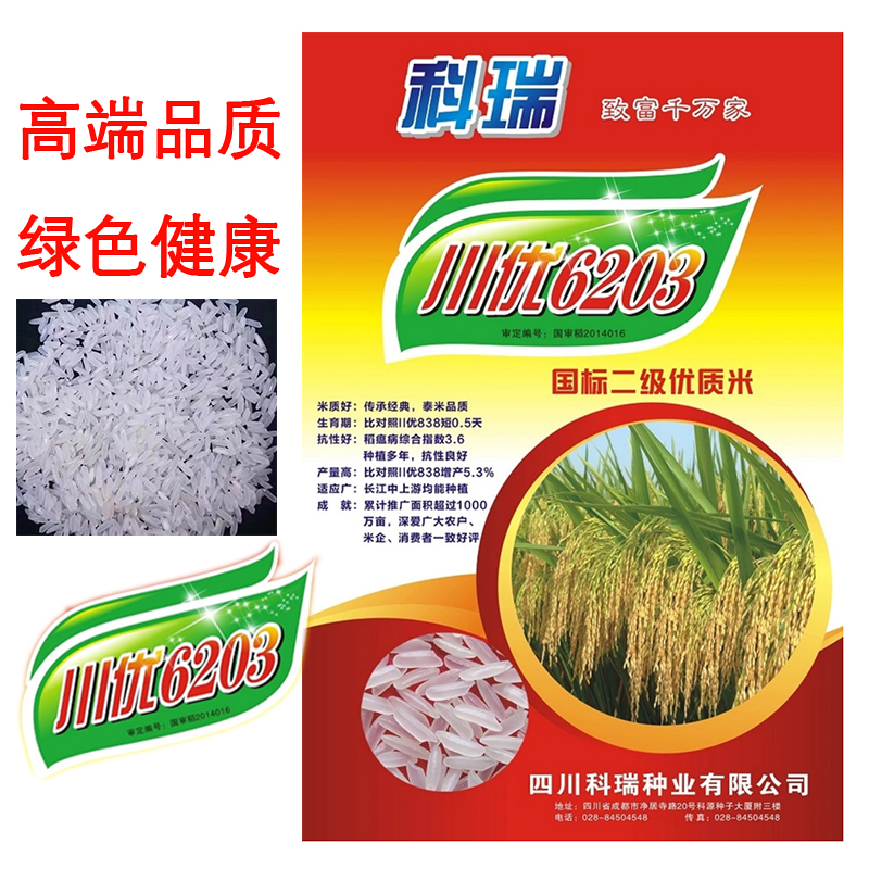 香稻品种
