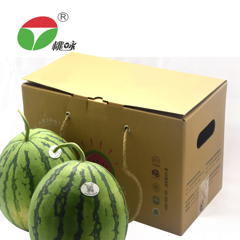 【桃咏】上海本地南汇8424西瓜2个装11-13斤新鲜水果