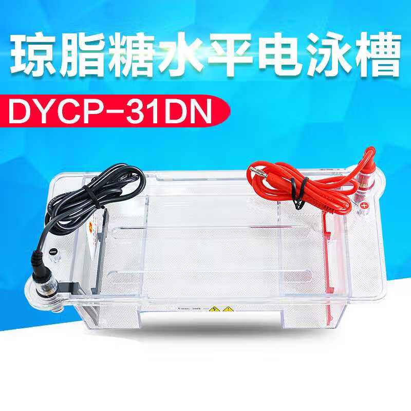 北京六一DYCP-31DN型琼脂糖水平电泳槽核酸凝胶蛋白电泳仪制胶器|