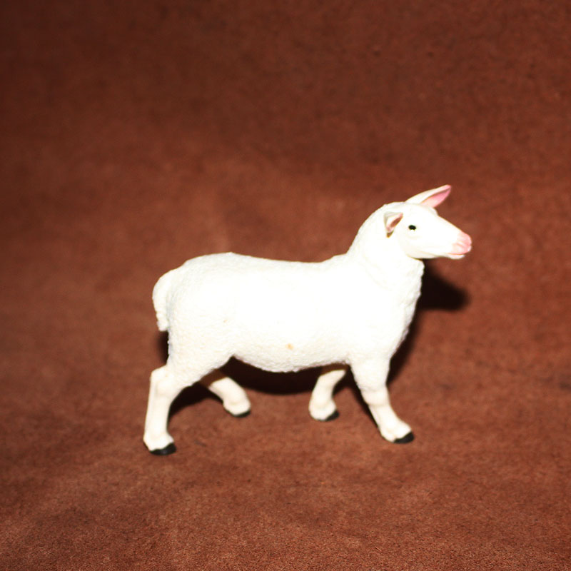 safari 仿真农场动物模型塑胶玩具微拍场景摆件 克隆羊
