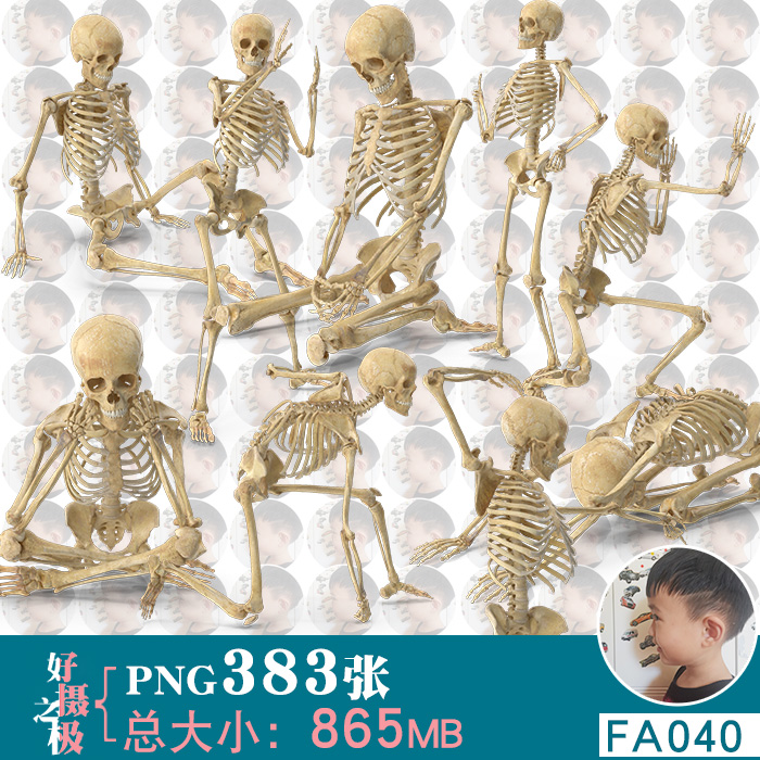 各种姿势动作骷髅骨架人体骨骼参考免扣2K高清PNG免抠图片PS素材