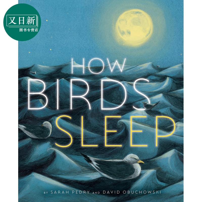 Sarah Pedry How Birds Sleep 鸟儿的睡姿 英文原版 进口图书 儿童绘本 动物故事图画书 又日新