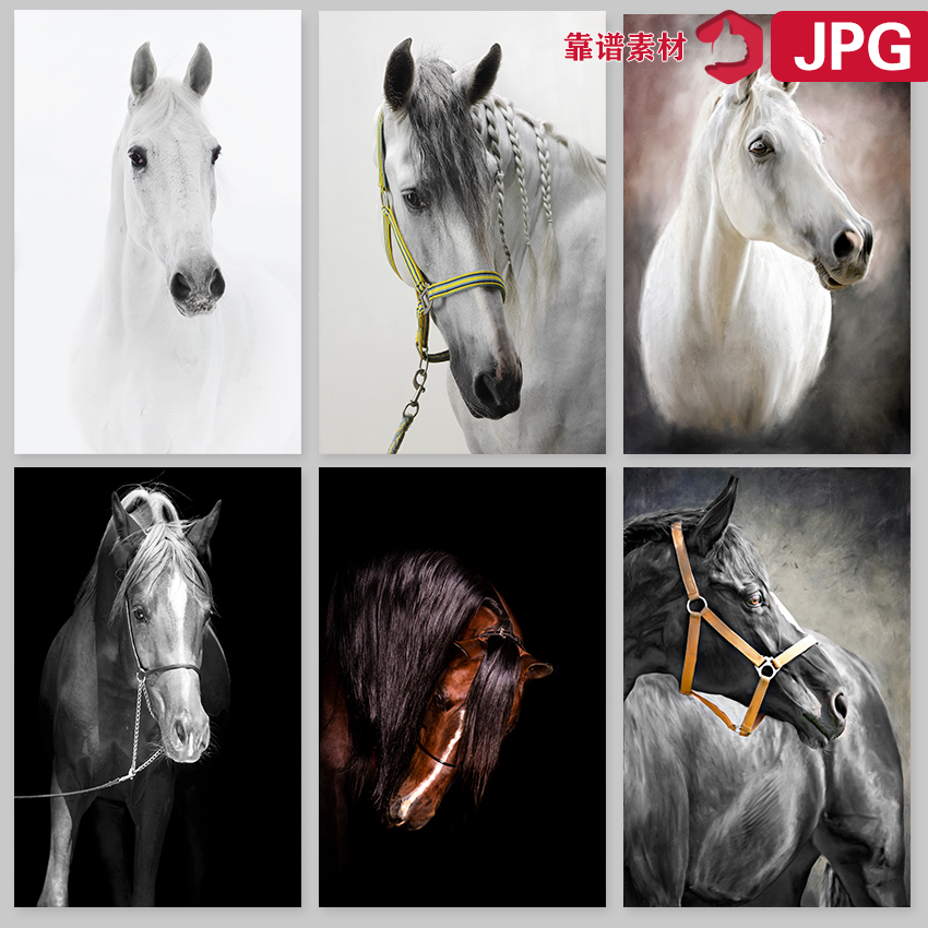黑白马匹马头装饰画图片JPG设计素材