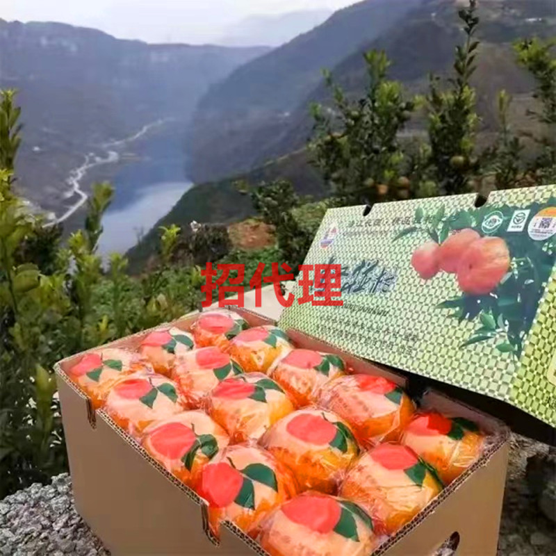 正宗长阳清江岩松坪椪柑当季新鲜水果特优礼盒装手剥孕妇水果45个