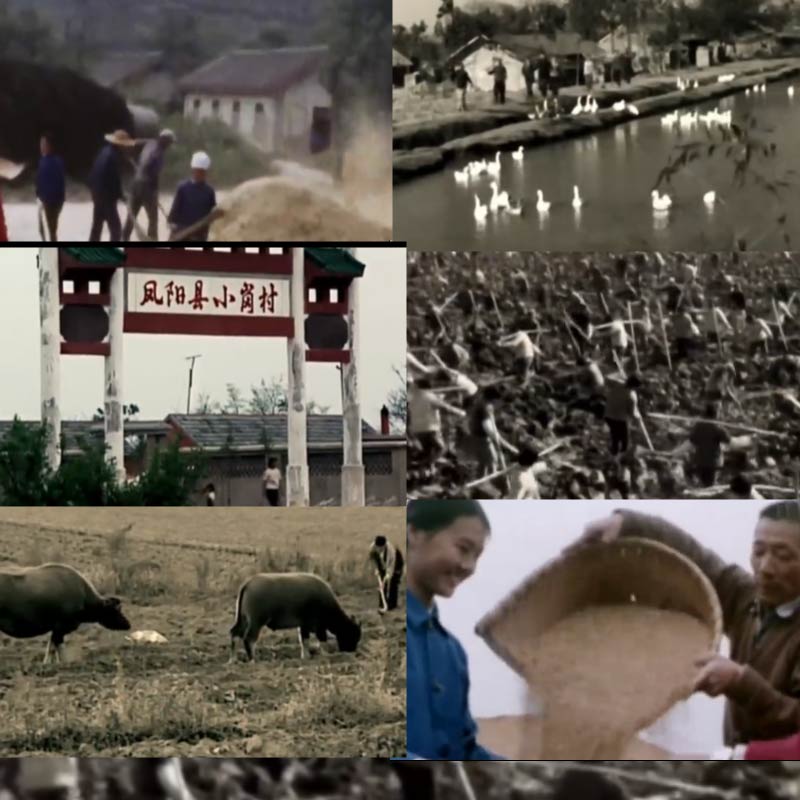80年代农业历史改革开放50年代60年代凤阳县小岗村农民视频素材