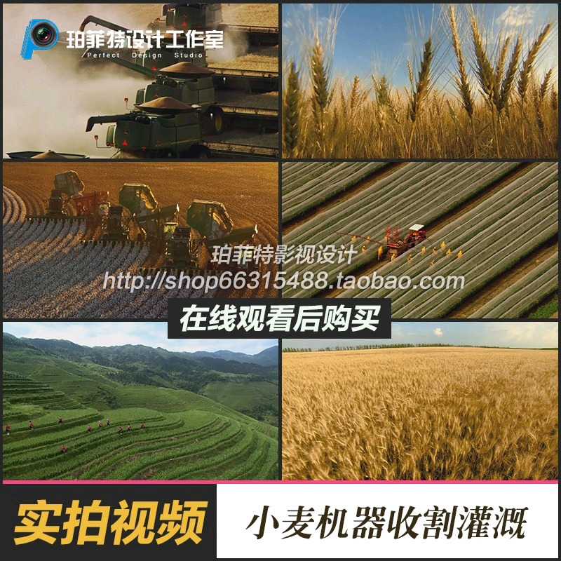 绿色农业图片