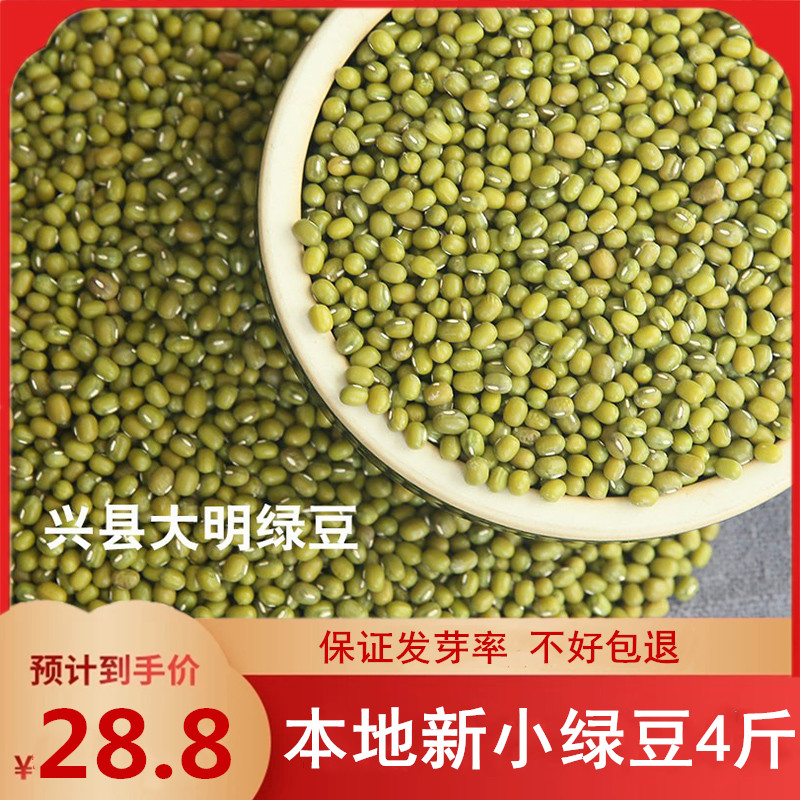 新绿豆吕梁农家自种新2kg能发豆芽的有机绿豆粥非转基因绿豆汤