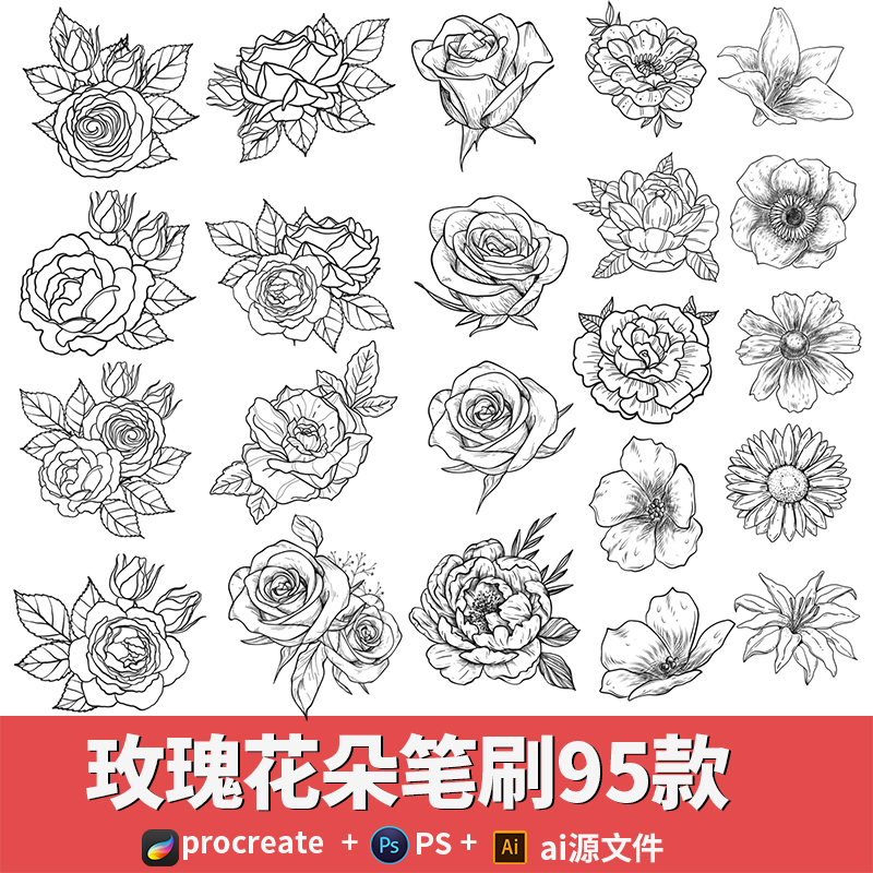 procreate笔刷水彩线稿玫瑰花朵牵牛花ps画笔花卉纹身ai矢量素材