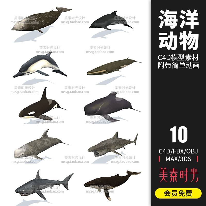 10只大型海洋动物鲸鱼海豚鲨鱼C4D模型带简单动画3D立体素材C943