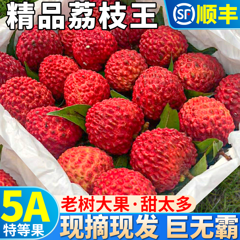 高端品种 5斤海南荔枝王荔枝新鲜水果超大整箱当季白糖顺丰包邮罂