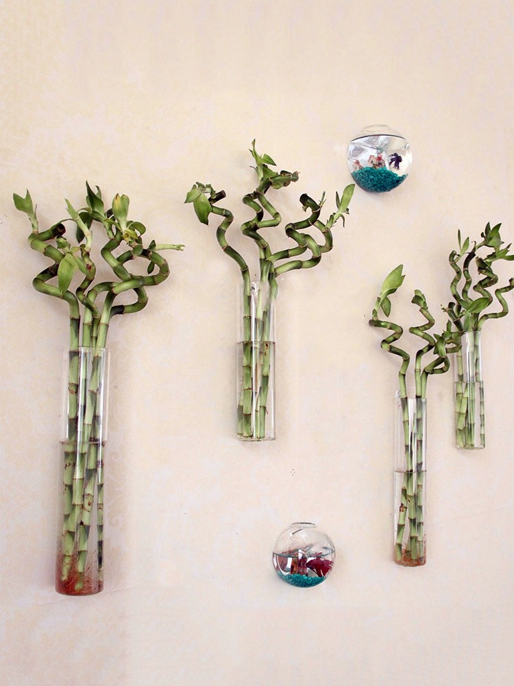 创意壁挂富贵竹玻璃花瓶水培植物挂墙上悬挂插花家居装饰透明圆柱