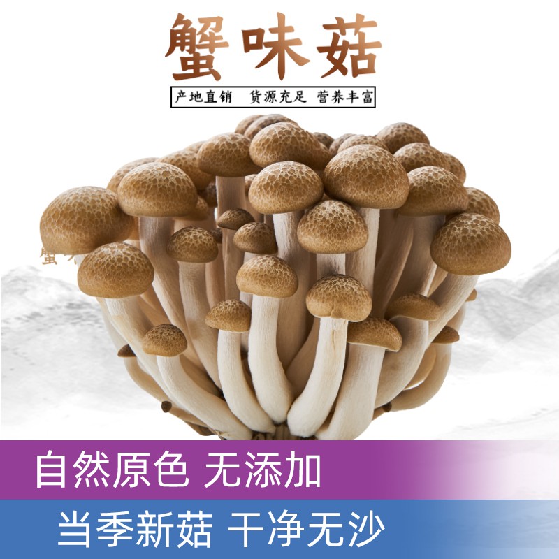 新鲜真姬菇150克蟹味菇盒装 购买10盒包邮 酒店食材火锅店菌菇