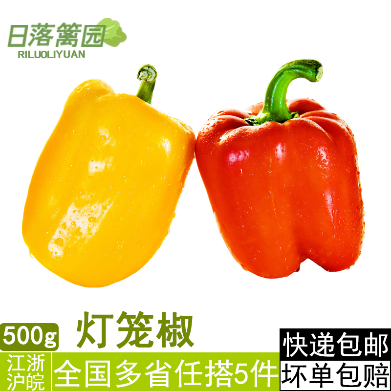新鲜彩椒500g 红黄组合甜圆椒灯笼椒炒菜配色食用 任5件包邮