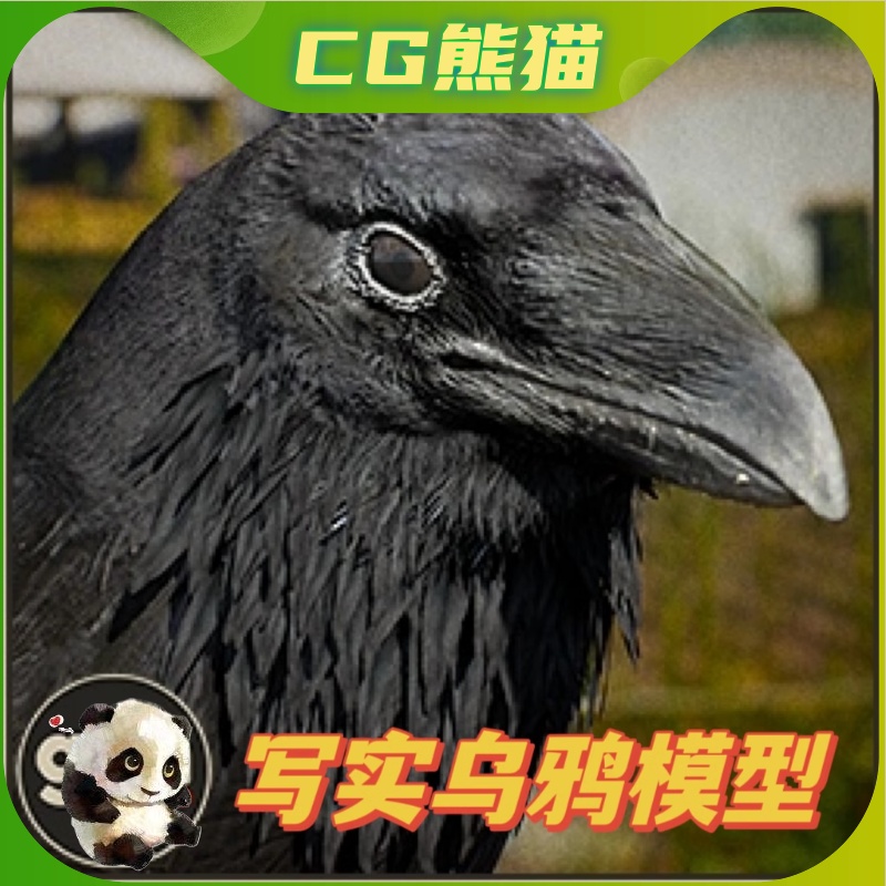 UE4虚幻5 Animalia - Raven V2.3.2 乌鸦角色模型动画 4.26-5.3