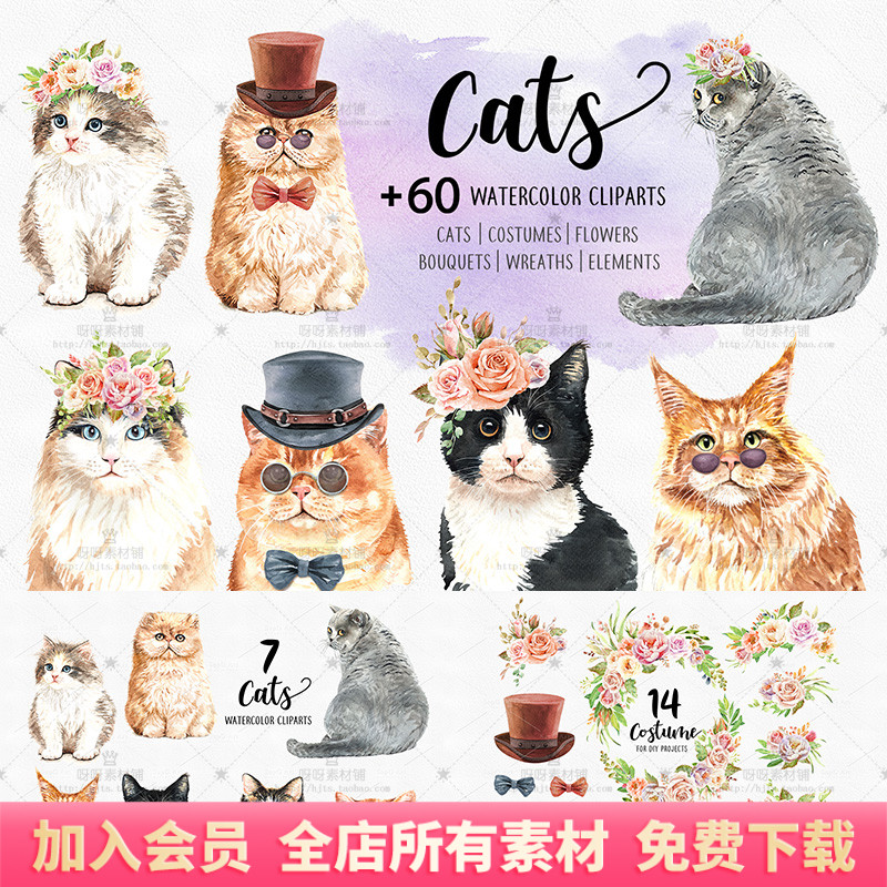 手绘水彩可爱猫咪插图花卉帽子蝴蝶结太阳镜PNG免抠海报设计素材
