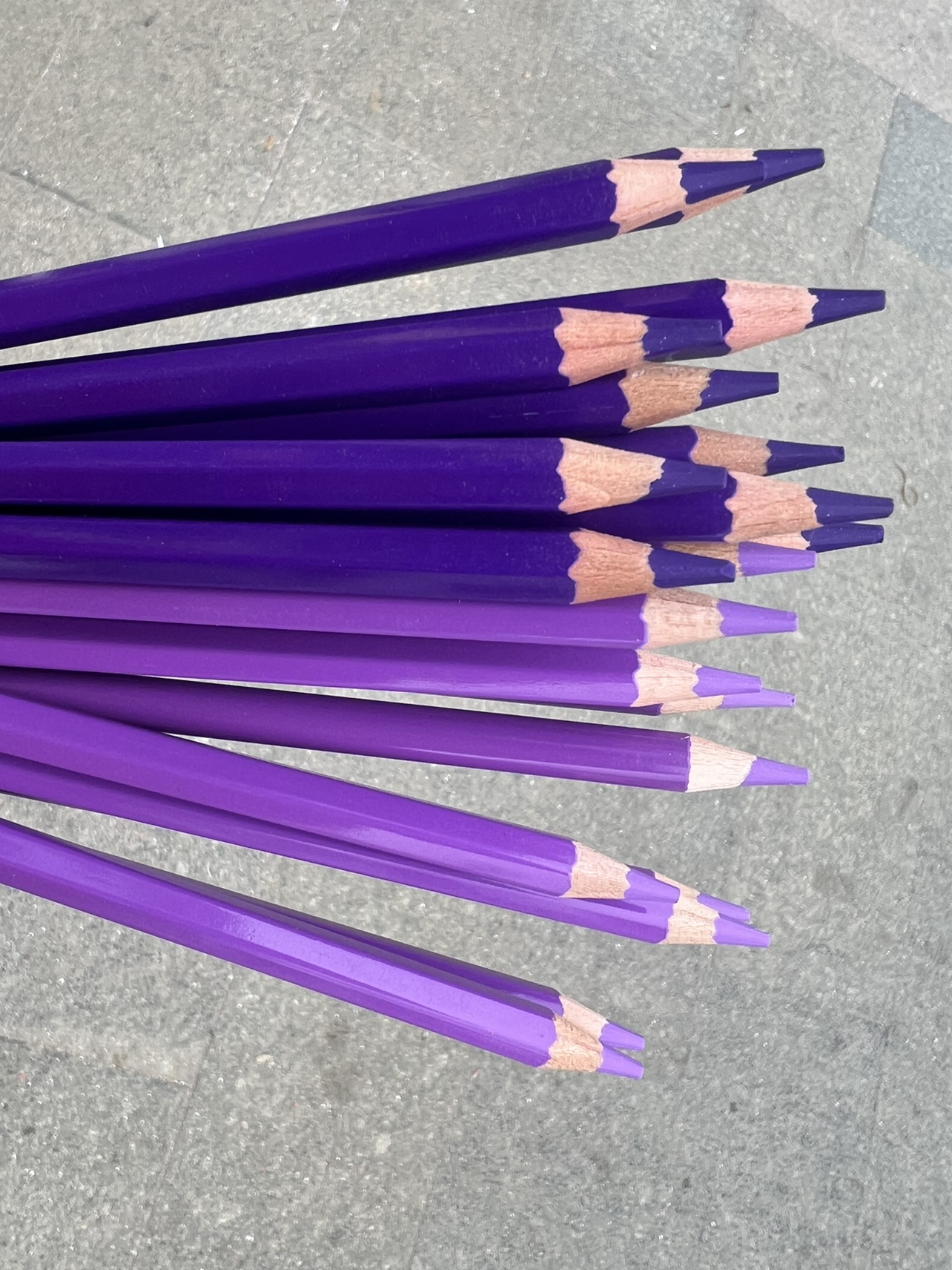 20只图上两种紫色混合进口油性超软芯涂色填色绘画彩铅笔