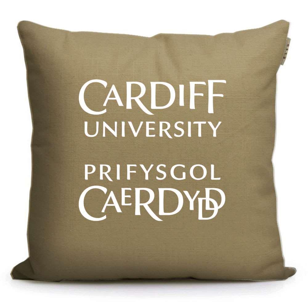 新款英国名校周边 卡迪夫大学纪念品留学生礼品印校徽LOGO沙发抱