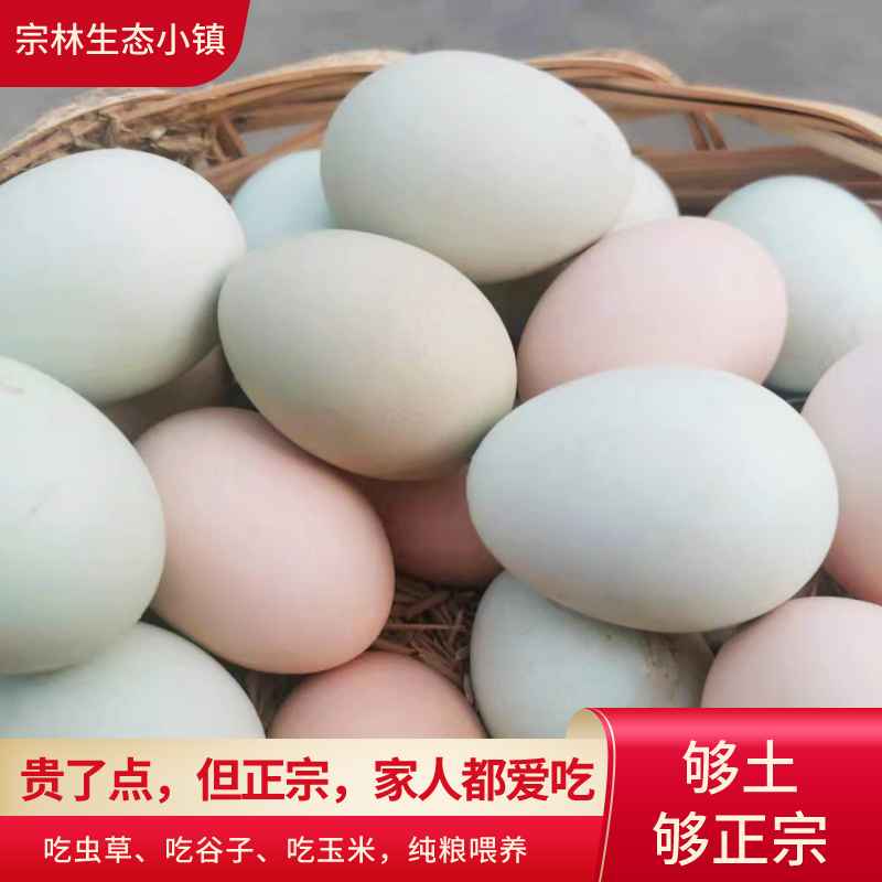 江西九江粉绿壳土鸡蛋农家散养新鲜正宗50枚柴鸡蛋 笨鸡蛋 无激素
