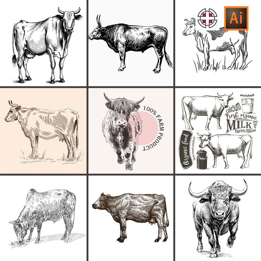 奶牛公牛水牛素描速写线稿草图插图插画AI矢量设计素材