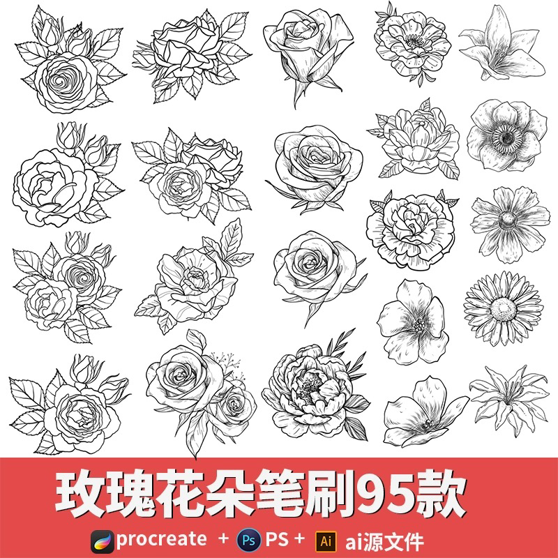 procreate笔刷水彩线稿玫瑰花朵牵牛花ps画笔花卉纹身ai矢量素材