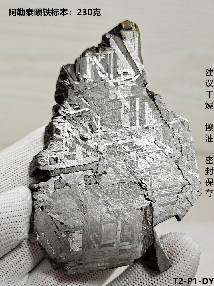 T2-DY，新疆阿勒泰铁陨石230克陨铁切片标本节日科普教学样本