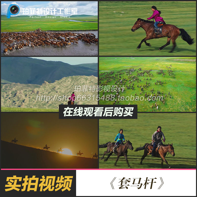 蒙古大草原视频素材