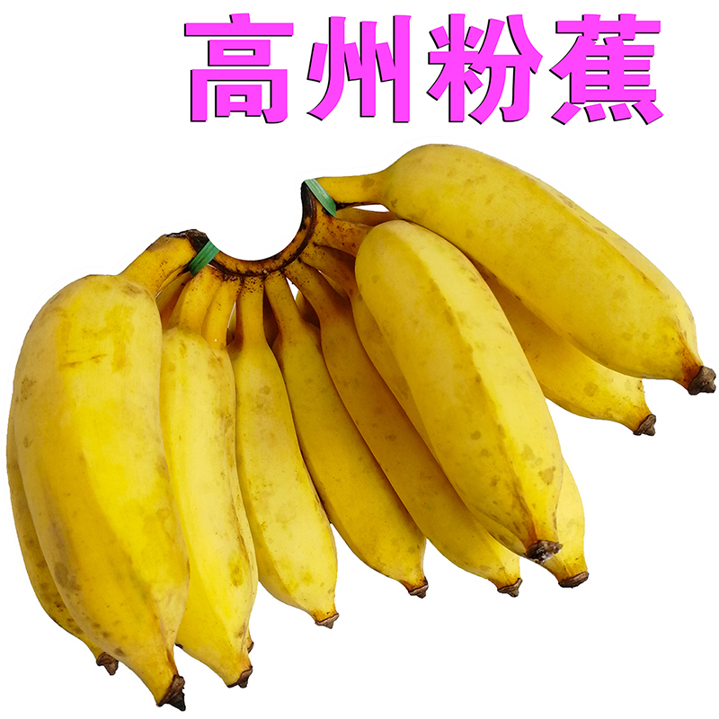 原生态高山野生粉蕉5斤自然熟高州香蕉浓香甜味新鲜小米南蕉包邮